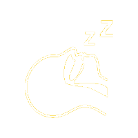 Mandibular appliance to reduce snoring at Srivari Dental Clinic.